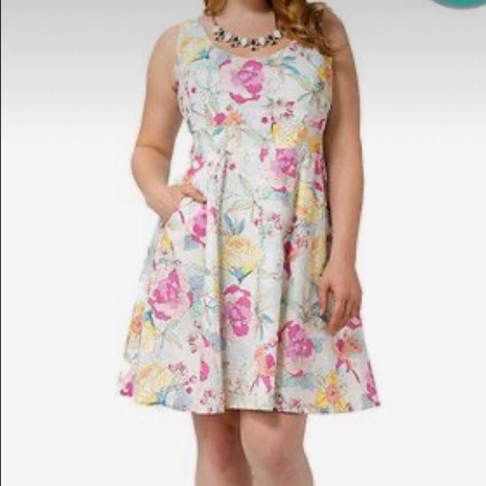 Cherry Velvet 3x Plus Floral Dress